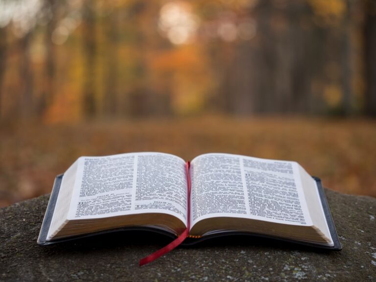 Zambian Christians Rejoice as Bibles Are Translated into Their Native Tongues for the First Time